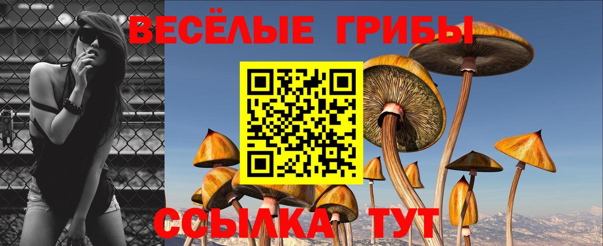 Галлюциногенные грибы мицелий Кириши