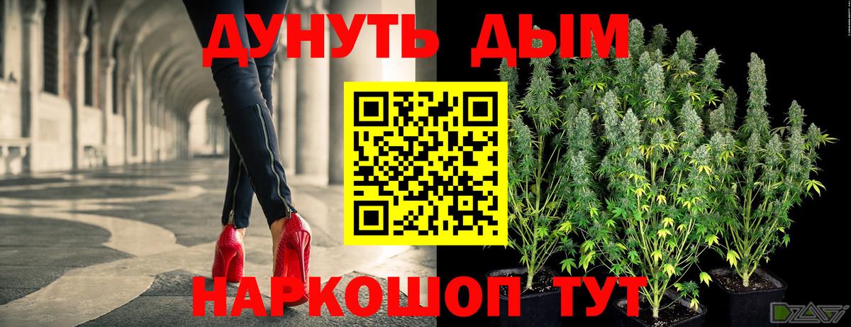 Каннабис планчик Кириши
